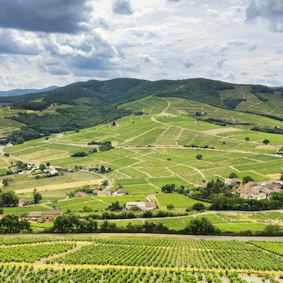 Beaujolais